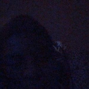 Meet your Posher, Ashanta